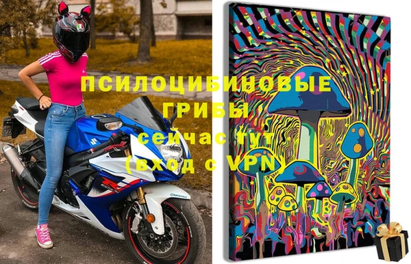 МДПВ Абдулино