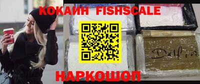 Альфа ПВП Моздок