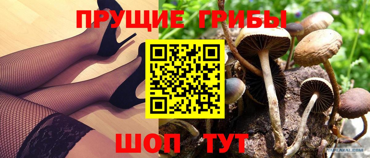 Галлюциногенные грибы GOLDEN TEACHER Стрежевой